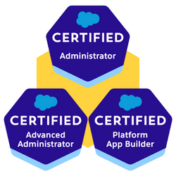 Salesforce Administrator Certification Bundle